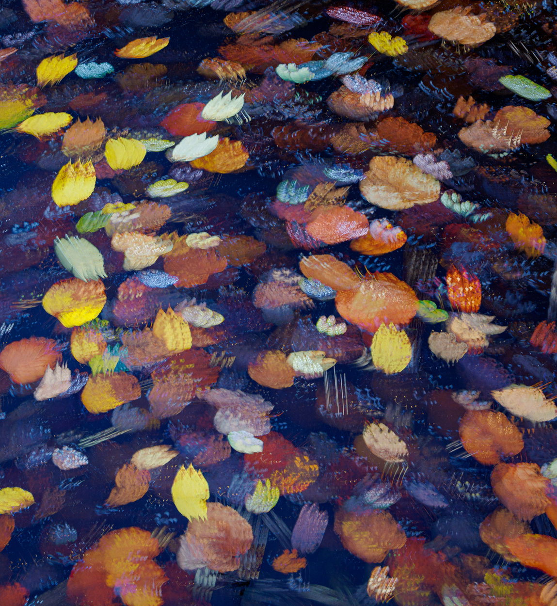 Multiple Exposures - Image Critiques - Nature Photographers Network