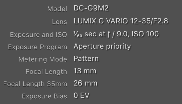 Screenshot 2025-03-26 at 8.15.57 AM