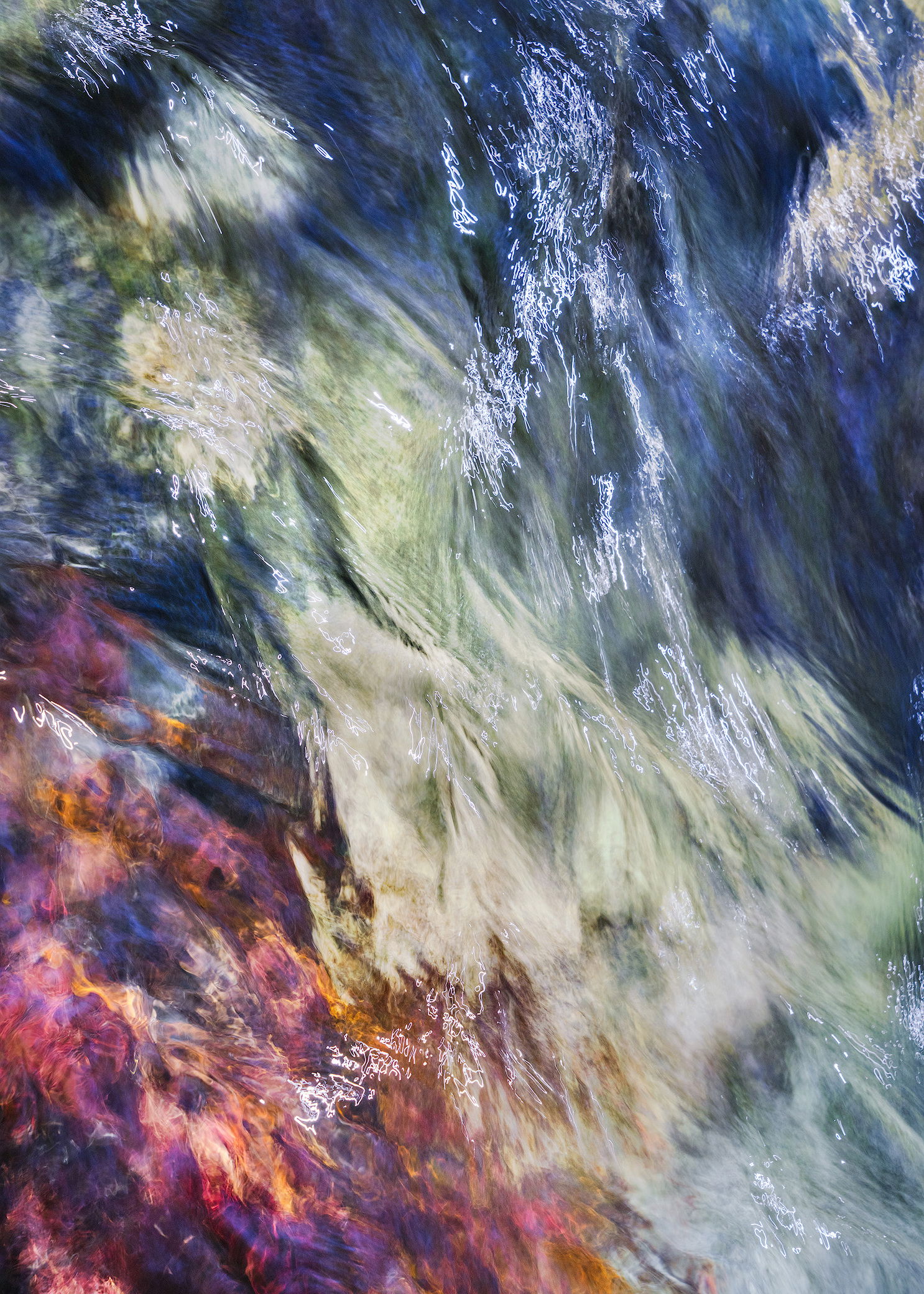 Sprites + Alt Orientation Abstract Nature Critiques Nature