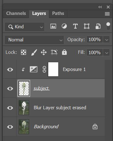 Death Camas Processing